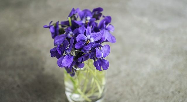 ヘレンドの「バイオレット」が可愛すぎる…！エリザベートが愛した花、スミレの花言葉も！